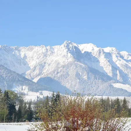 Kaiserwinkl Daxer Apartment Walchsee