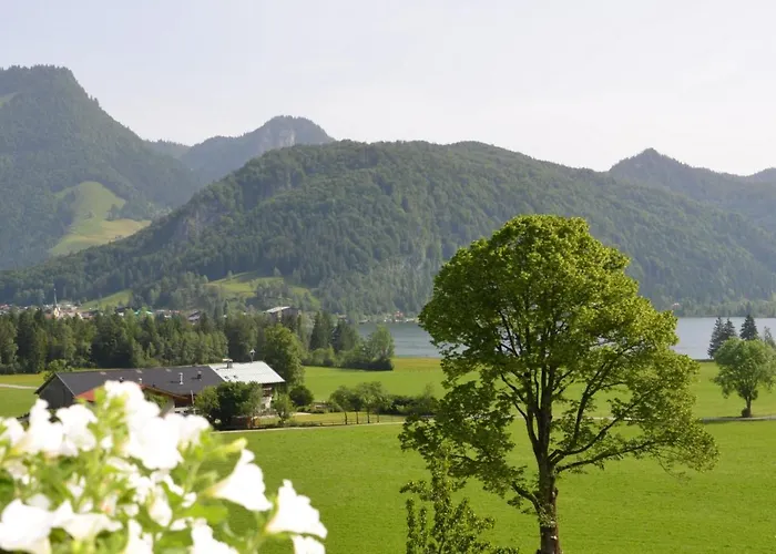 Kaiserwinkl Daxer * Walchsee