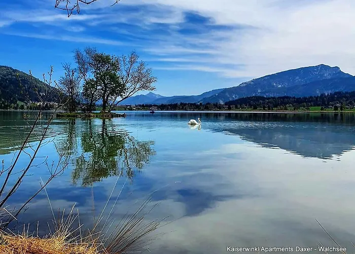 Apartamento Kaiserwinkl Daxer *