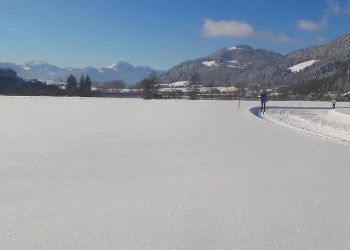 Kaiserwinkl Daxer Appartement *