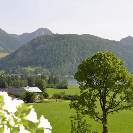 Kaiserwinkl Daxer * Walchsee