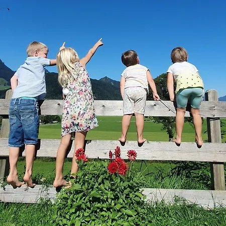 Kaiserwinkl Daxer * Walchsee