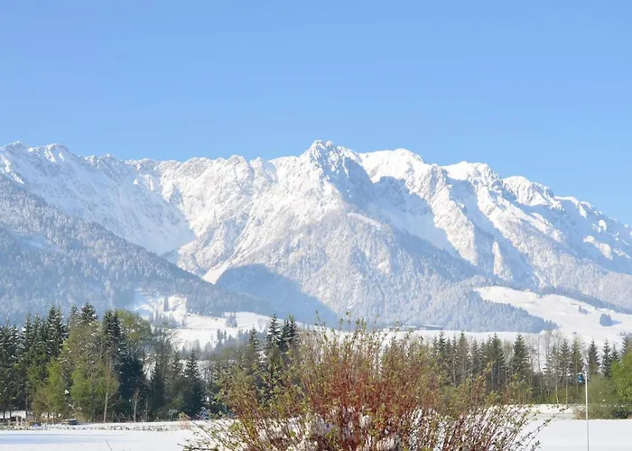 Kaiserwinkl Daxer Apartment Walchsee