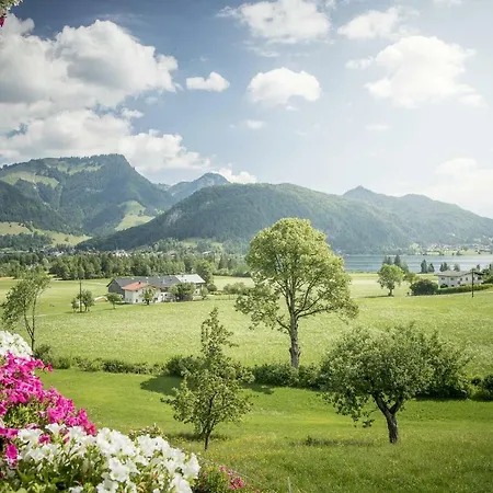 Appartement Kaiserwinkl Daxer *